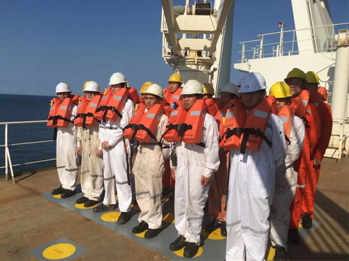 阳海国际船舶公司诚聘招生代理，共拓国际船舶管理业务新篇章