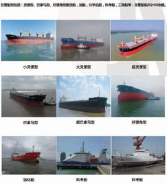 华洋船舶管理 为全球船东提供卓越的国际船舶管理服务